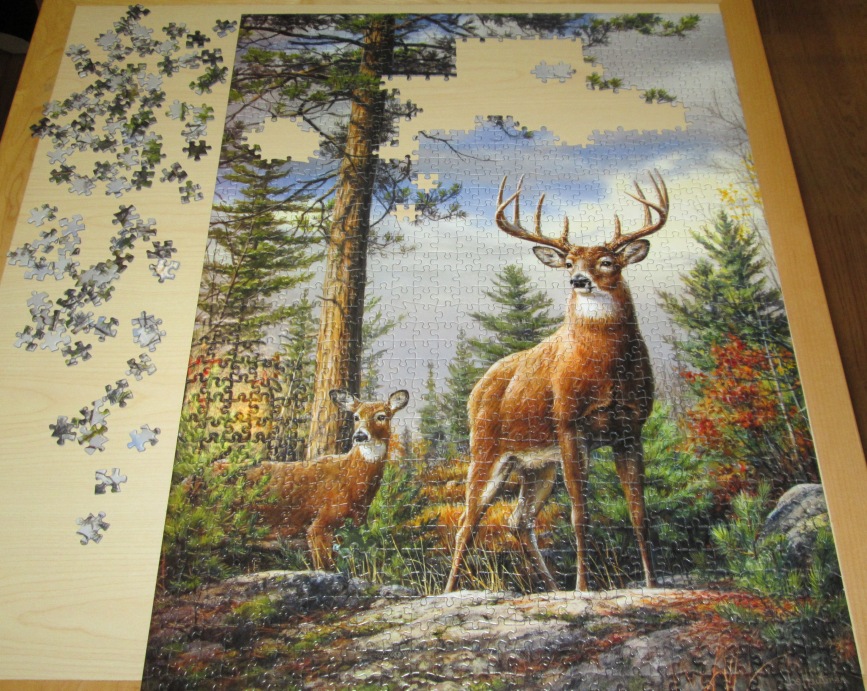 puzzle02.jpg (867 x 691, 269KB)